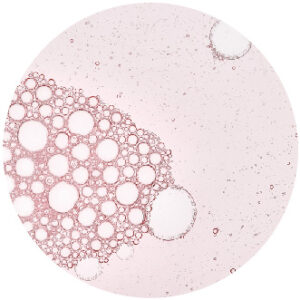 Limpieza profunda + extracción